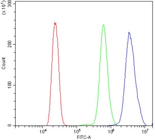 Flow cytometry testing of human HL60 cells with EHMT2 antibody at 1ug/million cells (blocked with goat sera); Red=cells alone, Green=isotype control, Blue= EHMT2 antibody.