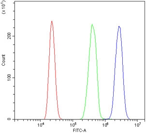 Flow cytometry testing of human HL60 cells with ERAP2 antibody at 1ug/million cells (blocked with goat sera); Red=cells alone, Green=isotype control, Blue= ERAP2 antibody.