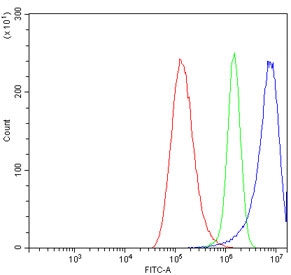 Flow cytometry testing of human A549 cells with Neurofilament-66 antibody at 1ug/million cells (blocked with goat sera); Red=cells alone, Green=isotype control, Blue= Neurofilament-66 antibody.