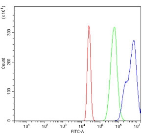 Flow cytometry testing of human HL60 cells with TCF1 alpha antibody at 1ug/million cells (blocked with goat sera); Red=cells alone, Green=isotype control, Blue= TCF1 alpha antibody.