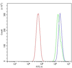 Flow cytometry testing of human U-87 MG cells with O-GlcNAcase antibody at 1ug/million cells (blocked with goat sera); Red=cells alone, Green=isotype control, Blue= O-GlcNAcase antibody.