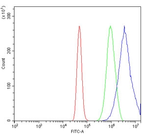 Flow cytometry testing of human A431 cells with PSD5A antibody at 1ug/million cells (blocked with goat sera); Red=cells alone, Green=isotype control, Blue= PSD5A antibody.