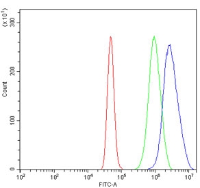 Flow cytometry testing of human A431 cells with SUMO2/3 antibody at 1ug/million cells (blocked with goat sera); Red=cells alone, Green=isotype control, Blue= SUMO2/3 antibody.