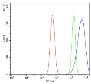 Flow cytometry testing of human U-87 MG cells with Steryl-sulfatase antibody at 1ug/million cells (blocked with goat sera); Red=cells alone, Green=isotype control, Blue= Steryl-sulfatase antibody.