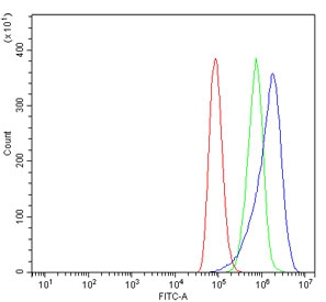 HSP90AA1 Antibody FACS. Flow cytometry analysis of human A549 cells using HSP90AA1 Antibody / Molecular Chaperone Antibody demonstrates a clear rightward shift of the antibody-stained population (blue) relative to the isotype control (green) and unstained cells (red), consistent with detection of HSP90AA1 expression. HSP90AA1 (HSP90 alpha) is a highly conserved ATP-dependent molecular chaperone involved in protein folding, stabilization of client proteins, signal transduction, and cellular stress-response pathways. Due to its central role in maintaining proteostasis and cellular homeostasis, HSP90AA1 is widely studied in cancer biology, cell signaling, and stress-response research. Cells were stained with HSP90AA1 antibody at 1 ug/million cells following blocking with goat sera. Red = cells alone, Green = isotype control, Blue = HSP90AA1 antibody.