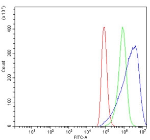 Flow cytometry testing of human A549 cells with Calpain 1 antibody at 1ug/million cells (blocked with goat sera); Red=cells alone, Green=isotype control, Blue= Calpain 1 antibody.
