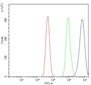 Flow cytometry testing of human a431 cells with RPL13A antibody at 1ug/million cells (blocked with goat sera); Red=cells alone, Green=isotype control, Blue= RPL13A antibody.