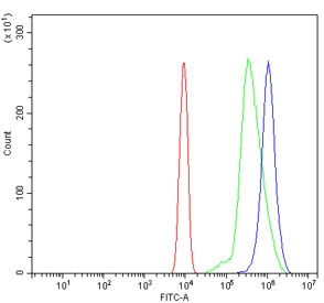 Flow cytometry testing of mouse ANA-1 cells with Alanine aminotransferase 1 antibody at 1ug/million cells (blocked with goat sera); Red=cells alone, Green=isotype control, Blue= Alanine aminotransferase 1 antibody.