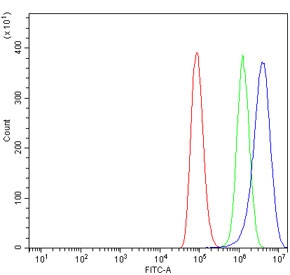 Flow cytometry testing of human A549 cells with 5HT1B antibody at 1ug/million cells (blocked with goat sera); Red=cells alone, Green=isotype control, Blue= 5HT1B antibody.