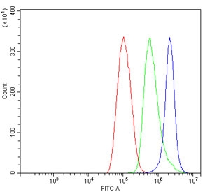 Flow cytometry testing of human ThP-1 cells with P2X7 antibody at 1ug/million cells (blocked with goat sera); Red=cells alone, Green=isotype control, Blue= P2X7 antibody.