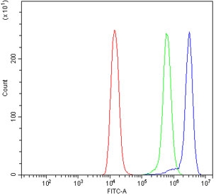 Flow cytometry testing of human Raji cells with PAK1 antibody at 1ug/million cells (blocked with goat sera); Red=cells alone, Green=isotype control, Blue= PAK1 antibody.