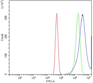 Flow cytometry testing of human A431 cells with SPHK1 antibody at 1ug/million cells (blocked with goat sera); Red=cells alone, Green=isotype control, Blue= SPHK1 antibody.