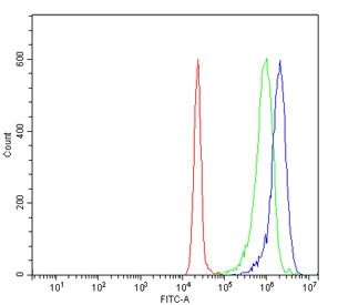 Flow cytometry testing of human JK-1 cells with PPIE antibody at 1ug/million cells (blocked with goat sera); Red=cells alone, Green=isotype control, Blue= PPIE antibody.