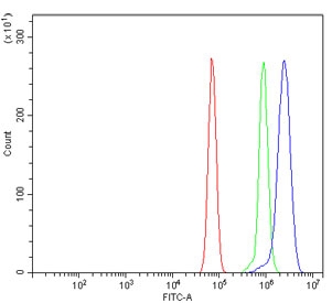 Flow cytometry testing of rat RH35 cells with LSM8 antibody at 1ug/million cells (blocked with goat sera); Red=cells alone, Green=isotype control, Blue= LSM8 antibody.