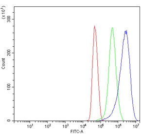 Flow cytometry testing of human U-251 MG cells with Adenosine Receptor A2b antibody at 1ug/million cells (blocked with goat sera); Red=cells alone, Green=isotype control, Blue= Adenosine Receptor A2b antibody.