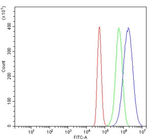 Flow cytometry testing of human A431 cells with AKAP 95 antibody at 1ug/million cells (blocked with goat sera); Red=cells alone, Green=isotype control, Blue= AKAP 95 antibody.