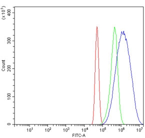 Flow cytometry testing of human A431 cells with BIN1 antibody at 1ug/million cells (blocked with goat sera); Red=cells alone, Green=isotype control, Blue= BIN1 antibody.