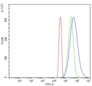 Flow cytometry testing of human HeLa cells with EIF3E antibody at 1ug/million cells (blocked with goat sera); Red=cells alone, Green=isotype control, Blue= EIF3E antibody.