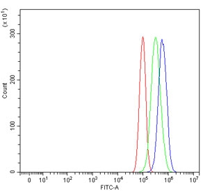 Flow cytometry testing of human PC-3 cells with EIF5A antibody at 1ug/million cells (blocked with goat sera); Red=cells alone, Green=isotype control, Blue= EIF5A antibody.