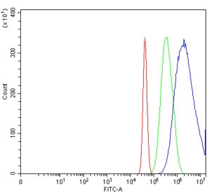 Flow cytometry testing of mouse ANA-1 cells with EIF5A antibody at 1ug/million cells (blocked with goat sera); Red=cells alone, Green=isotype control, Blue= EIF5A antibody.