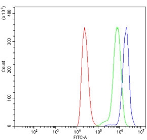 Flow cytometry testing of human ThP-1 cells with Fatty-acid amide hydrolase 1 antibody at 1ug/million cells (blocked with goat sera); Red=cells alone, Green=isotype control, Blue= Fatty-acid amide hydrolase 1 antibody.