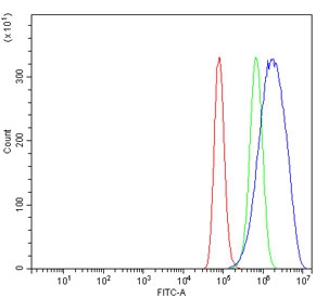 Flow cytometry testing of human A549 cells with FKBP10 antibody at 1ug/million cells (blocked with goat sera); Red=cells alone, Green=isotype control, Blue= FKBP10 antibody.