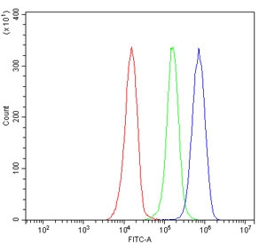 Flow cytometry testing of human JK-1 cells with GSPT1/2 antibody at 1ug/million cells (blocked with goat sera); Red=cells alone, Green=isotype control, Blue= GSPT1/2 antibody.