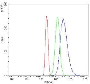 Flow cytometry testing of human HL60 cells with Meiotic recombination 11 antibody at 1ug/million cells (blocked with goat sera); Red=cells alone, Green=isotype control, Blue= Meiotic recombination 11 antibody.