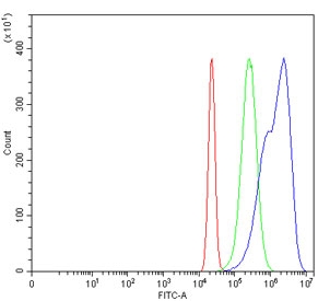 MSH6 Antibody Rabbit Polyclonal for FACS analysis of fixed and permeabilized human HeLa cells. Flow cytometry demonstrates a rightward fluorescence shift in the population stained with the rabbit polyclonal MSH6 antibody compared to the isotype control, indicating detection of intracellular MutS homolog 6 (MSH6), a nuclear DNA mismatch repair protein. Cells were stained at 1 ug antibody per million cells following blocking with goat sera. Red histogram represents cells alone, green histogram represents the isotype control, and blue histogram represents cells stained with the MSH6 antibody.