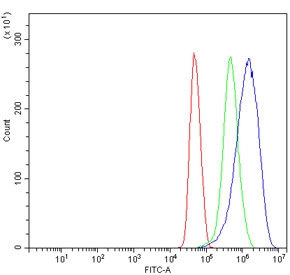 Flow cytometry testing of human U-251 MG cells with MT-ND5 antibody at 1ug/million cells (blocked with goat sera); Red=cells alone, Green=isotype control, Blue= MT-ND5 antibody.