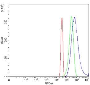 Flow cytometry testing of human HeLa cells with RPL23 antibody at 1ug/million cells (blocked with goat sera); Red=cells alone, Green=isotype control, Blue= RPL23 antibody.