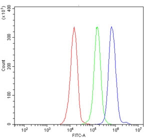 Flow cytometry testing of human JK-1 cells with Synaptonemal Complex Protein 3 antibody at 1ug/million cells (blocked with goat sera); Red=cells alone, Green=isotype control, Blue= Synaptonemal Complex Protein 3 antibody.