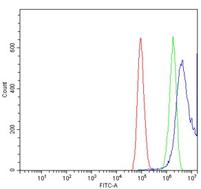 DUSP6 Antibody MAPK Signaling Regulator FACS. Flow cytometric analysis of human HepG2 cells using DUSP6 antibody demonstrates a pronounced rightward shift of the positive cell population (blue) relative to both the isotype control (green) and unstained cells (red), consistent with expression of DUSP6. DUSP6 (Dual Specificity Phosphatase 6) functions as a key negative regulator of ERK/MAPK signaling pathways by dephosphorylating activated ERK proteins and modulating downstream signal transduction. Through this activity, DUSP6 helps regulate cellular responses to growth factor stimulation, differentiation cues, and proliferative signals. The observed fluorescence shift supports the utility of this antibody for flow cytometric detection of DUSP6 expression. Red=cells alone; Green=isotype control; Blue=DUSP6 antibody.