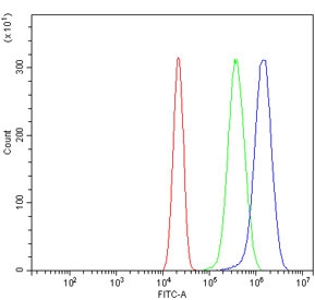 Flow cytometry testing of human U-2 OS cells with Myosin Heavy Chain 3 antibody at 1ug/million cells (blocked with goat sera); Red=cells alone, Green=isotype control, Blue= Myosin Heavy Chain 3 antibody.