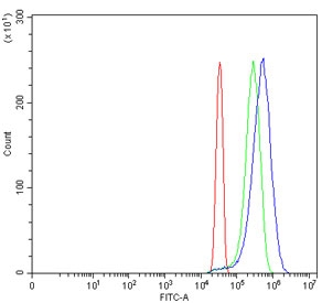 Flow cytometry testing of human HeLa cells with TDRD11 antibody at 1ug/million cells (blocked with goat sera); Red=cells alone, Green=isotype control, Blue= TDRD11 antibody.