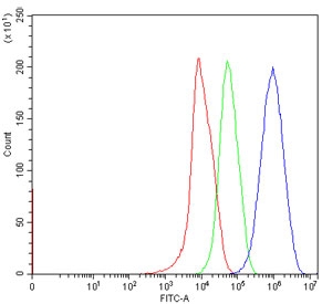 Flow cytometry testing of human HepG2 cells with ACSL4 antibody at 1ug/million cells (blocked with goat sera); Red=cells alone, Green=isotype control, Blue= ACSL4 antibody.