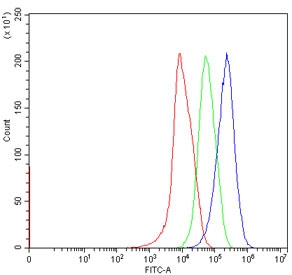 Flow cytometry testing of human HepG2 cells with Neurofibromin antibody at 1ug/million cells (blocked with goat sera); Red=cells alone, Green=isotype control, Blue= Neurofibromin antibody.