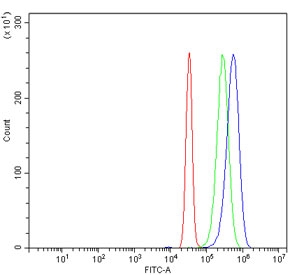 Flow cytometry testing of human SiHa cells with Dynein light chain 1 antibody at 1ug/million cells (blocked with goat sera); Red=cells alone, Green=isotype control, Blue= Dynein light chain 1 antibody.