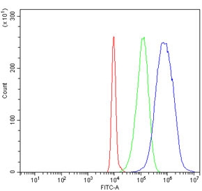 Flow cytometry testing of human HL60 cells with Aurora A antibody at 1ug/million cells (blocked with goat sera); Red=cells alone, Green=isotype control, Blue= Aurora A antibody.