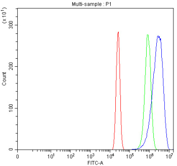 P-Cadherin Antibody A431 Cell FACS. Flow cytometry analysis of fixed and permeabilized human A431 cells using P-Cadherin Antibody / Epithelial Cell Adhesion Antibody. Cells were blocked with goat serum and incubated with the primary antibody at 1 ug/million cells. The blue histogram represents P-Cadherin staining, while green represents isotype control and red represents unstained cells. Clear positive signal separation supports the use of P-Cadherin Antibody / Epithelial Cell Adhesion Antibody for analyzing epithelial adhesion protein expression and cadherin-mediated cell communication pathways by flow cytometry.