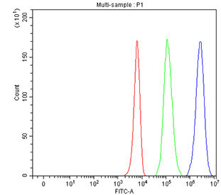 Flow cytometry testing of fixed and permeabilized human K562 cells with ECD antibody at 1ug/million cells (blocked with goat sera); Red=cells alone, Green=isotype control, Blue= CD59 antibody.