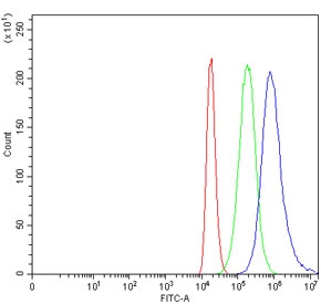Flow cytometry testing of human 293T cells with Fibroblast Growth Factor Receptor 3 antibody at 1ug/million cells (blocked with goat sera); Red=cells alone, Green=isotype control, Blue= Fibroblast Growth Factor Receptor 3 antibody.
