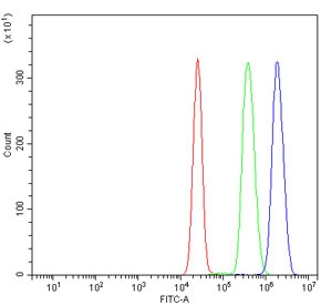 GATA1 Antibody Human K562 FACS. Flow cytometric analysis of human K562 cells using GATA1 antibody demonstrated a clear rightward shift in fluorescence intensity (blue) compared with the isotype control (green) and unstained cells (red), indicating specific detection of intracellular GATA1 expression. GATA1 is a zinc finger transcription factor that serves as a master regulator of erythropoiesis by controlling genes required for erythroid lineage commitment, hemoglobin synthesis, and red blood cell maturation. K562 cells, an erythroleukemia cell line, express GATA1 and are widely used as a model for erythroid differentiation and hematopoietic gene regulation. Cells were incubated with GATA1 antibody at 1 ug/million cells following goat serum blocking. These results support the utility of GATA1 Antibody for flow cytometric studies of hematopoiesis, erythropoiesis, hematopoietic transcriptional regulation, and leukemia research.