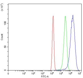 Flow cytometry testing of human U-2 OS cells with GATA6 antibody at 1ug/million cells (blocked with goat sera); Red=cells alone, Green=isotype control, Blue= GATA6 antibody.