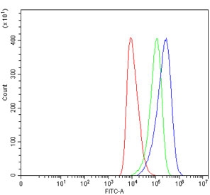 Flow cytometry testing of fixed and permeabilized human HEL cells with Monofunctional C1-tetrahydrofolate synthase antibody at 1ug/million cells (blocked with goat sera); Red=cells alone, Green=isotype control, Blue= Monofunctional C1-tetrahydrofolate synthase antibody.