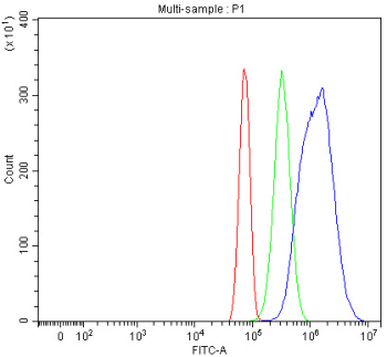 Flow cytometry testing of rat RH35 cells with SREBP2 antibody at 1ug/million cells (blocked with goat sera); Red=cells alone, Green=isotype control, Blue= SREBP2 antibody.