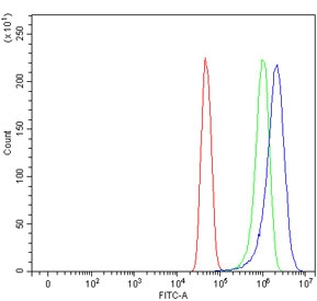 Flow cytometry testing of human U-251 cells with ADAM9 antibody at 1ug/million cells (blocked with goat sera); Red=cells alone, Green=isotype control, Blue= ADAM9 antibody.