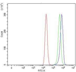 Flow cytometry testing of human ThP-1 cells with Azurocidin antibody at 1ug/million cells (blocked with goat sera); Red=cells alone, Green=isotype control, Blue= Azurocidin antibody.
