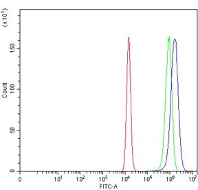 Flow cytometry testing of human U-2 OS cells with Bromodomain-containing protein 4 antibody at 1ug/million cells (blocked with goat sera); Red=cells alone, Green=isotype control, Blue= Bromodomain-containing protein 4 antibody.