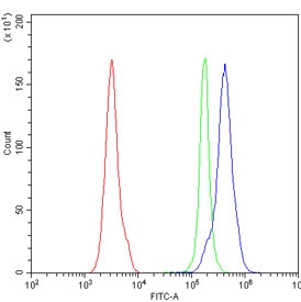 CD27 Antibody for FACS. Flow cytometry analysis of CD27 / TNFRSF7 expression in mouse peripheral blood mononuclear cells using Cross-Species CD27 Flow Cytometry Antibody. Cells stained with CD27 antibody (blue) show a clear right-shifted population compared to isotype control (green) and unstained cells (red), indicating cell surface expression of CD27 on lymphocyte populations. The distinct separation supports accurate gating and identification of CD27-positive cells and highlights its utility for PBMC-based immune profiling in flow cytometry.